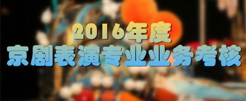 男人的鸡鸡插入女人的鸡鸡动漫视频国家京剧院2016年度京剧表演专业业务考...